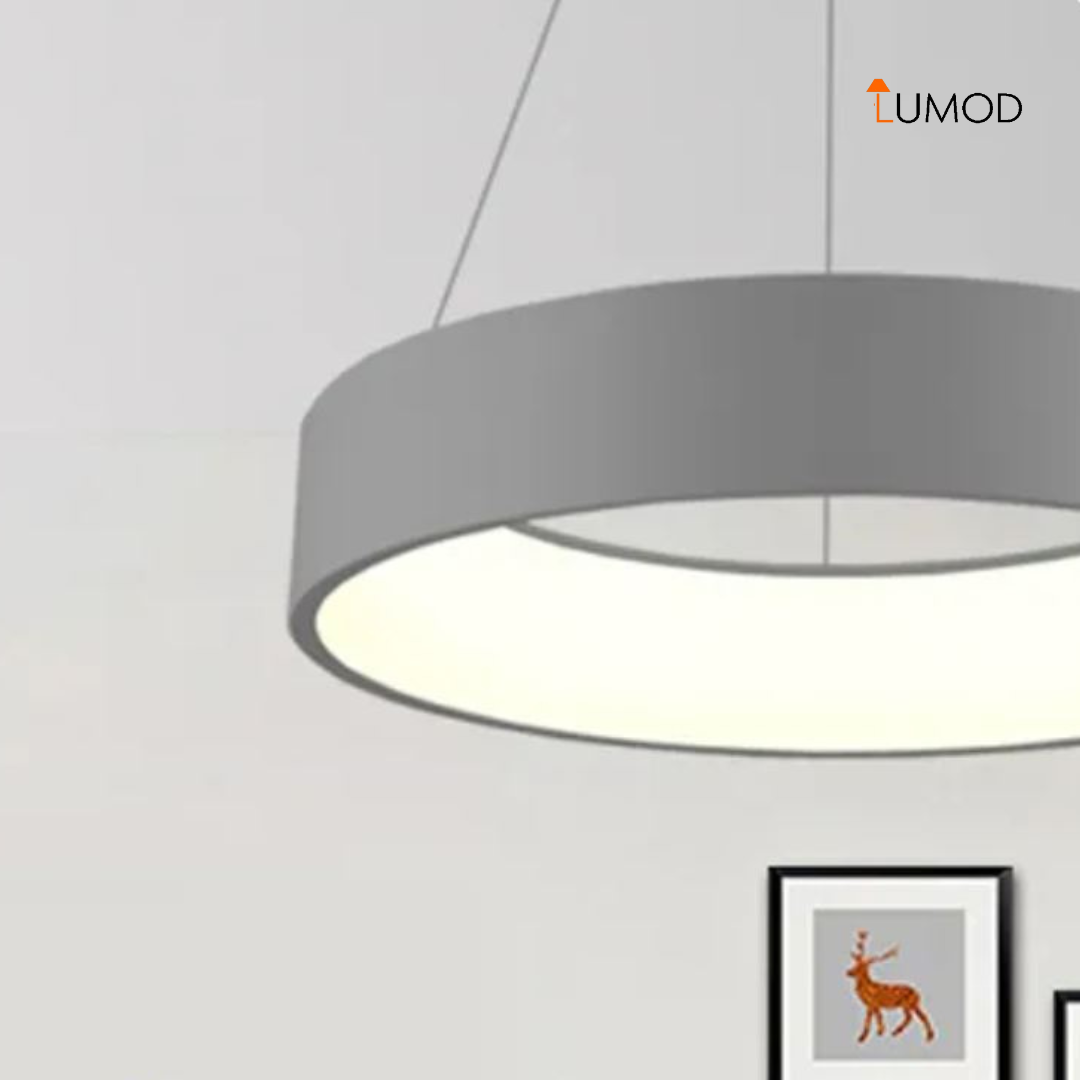 Elora | Matte Grey Round Pendant Light